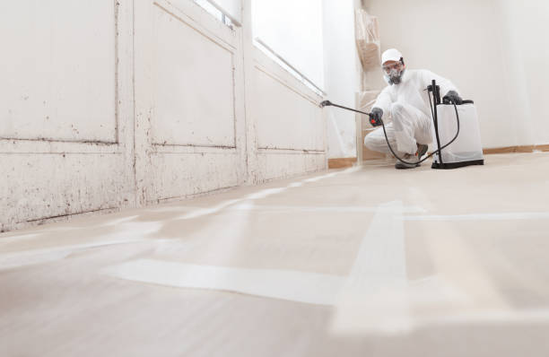 24/7 Emergency Mold Cleanup experts in Dublin, VA